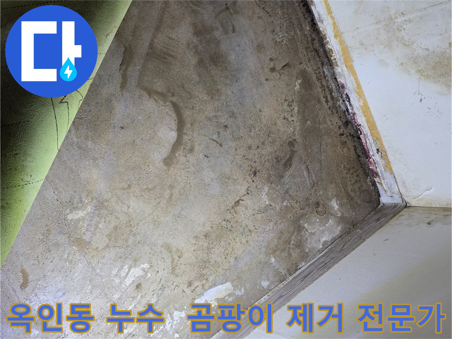 장판 밑 곰팡이 - 옥인동 곰팡이 제거 전문가