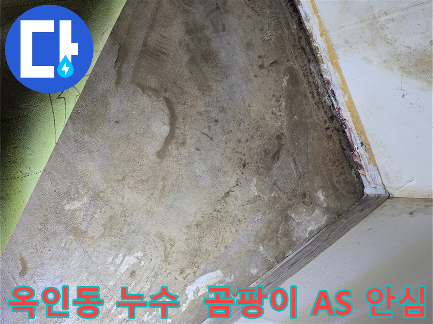 장판 밑 곰팡이 - 옥인동 꼼꼼한 A/S로 안심