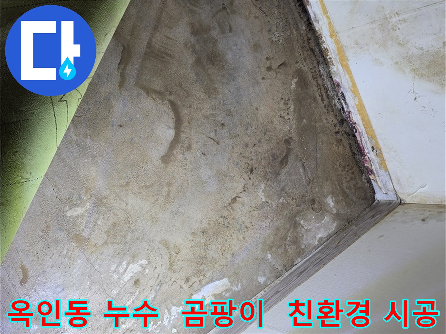 장판 밑 곰팡이 - 옥인동 친환경 약품으로 안전 시공