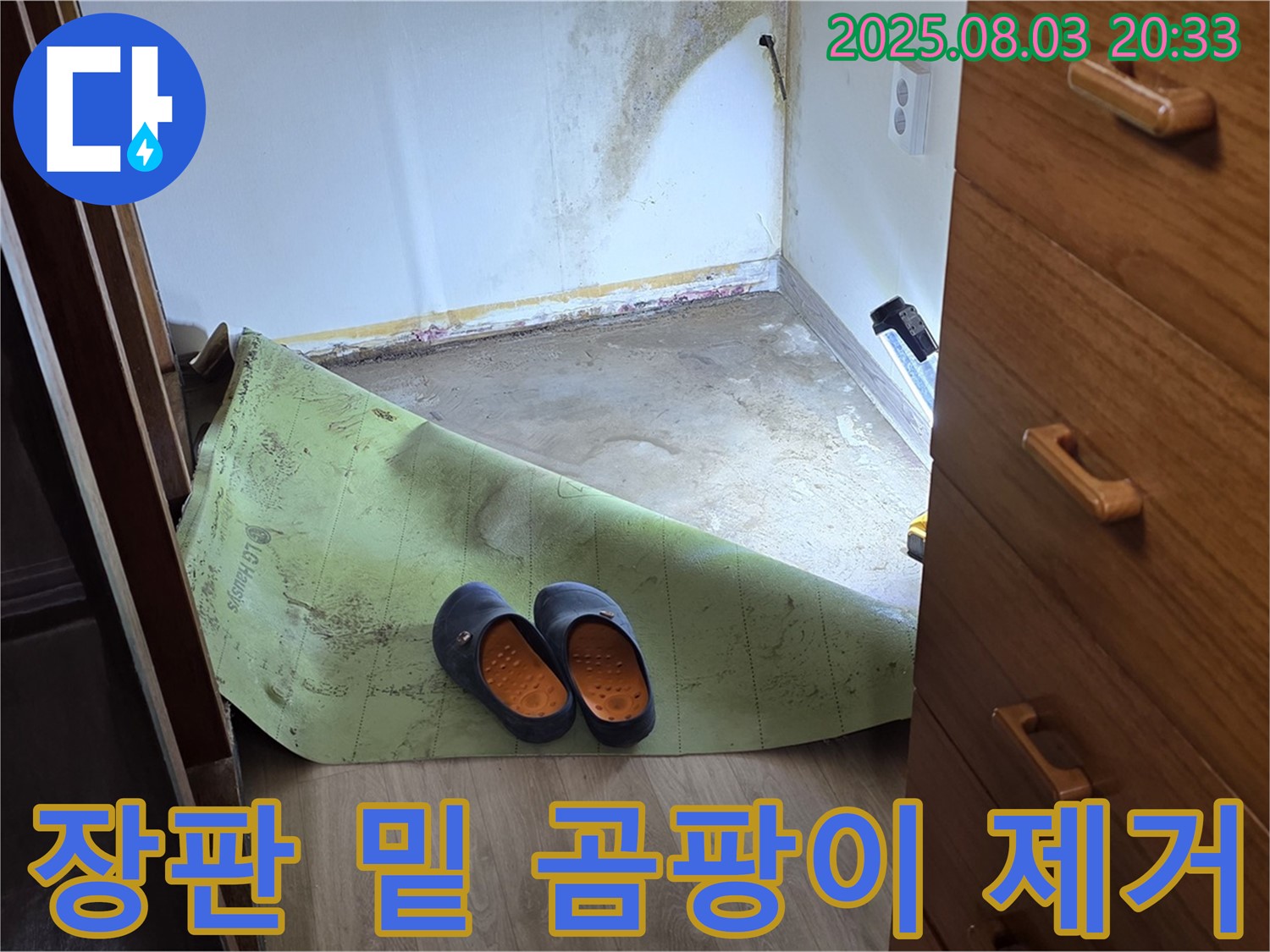 장판 밑 곰팡이 제거 - 습기와의 전쟁