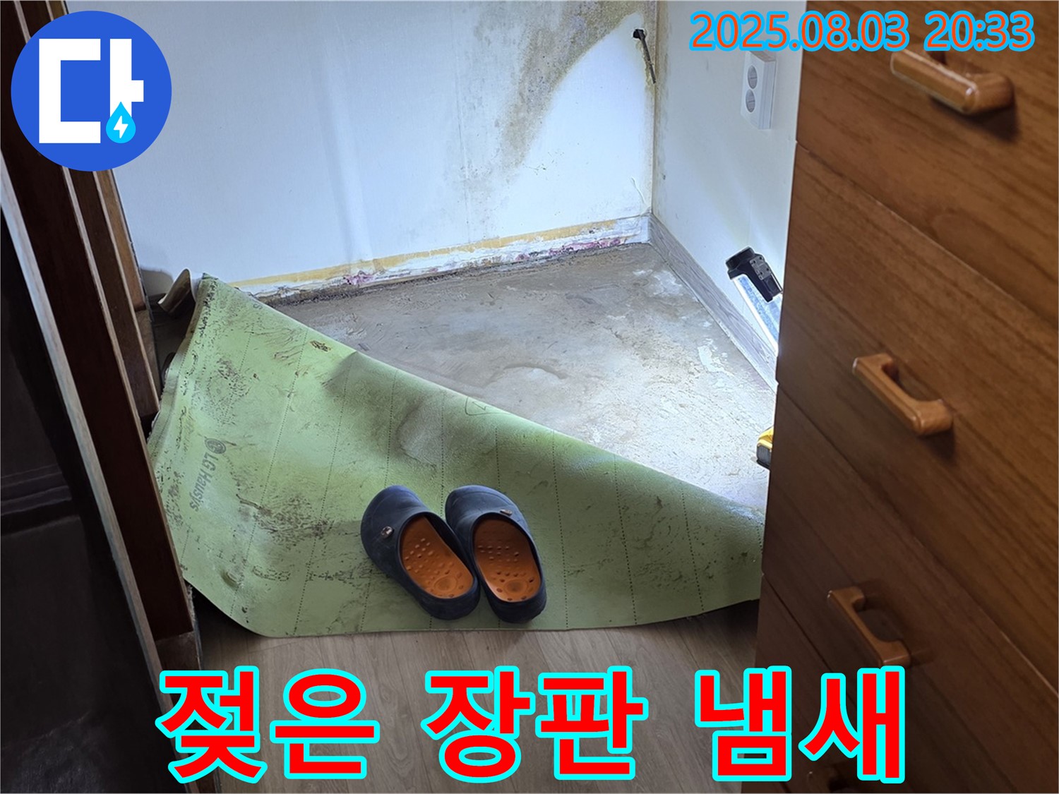 젖은 장판 - 곰팡이 냄새