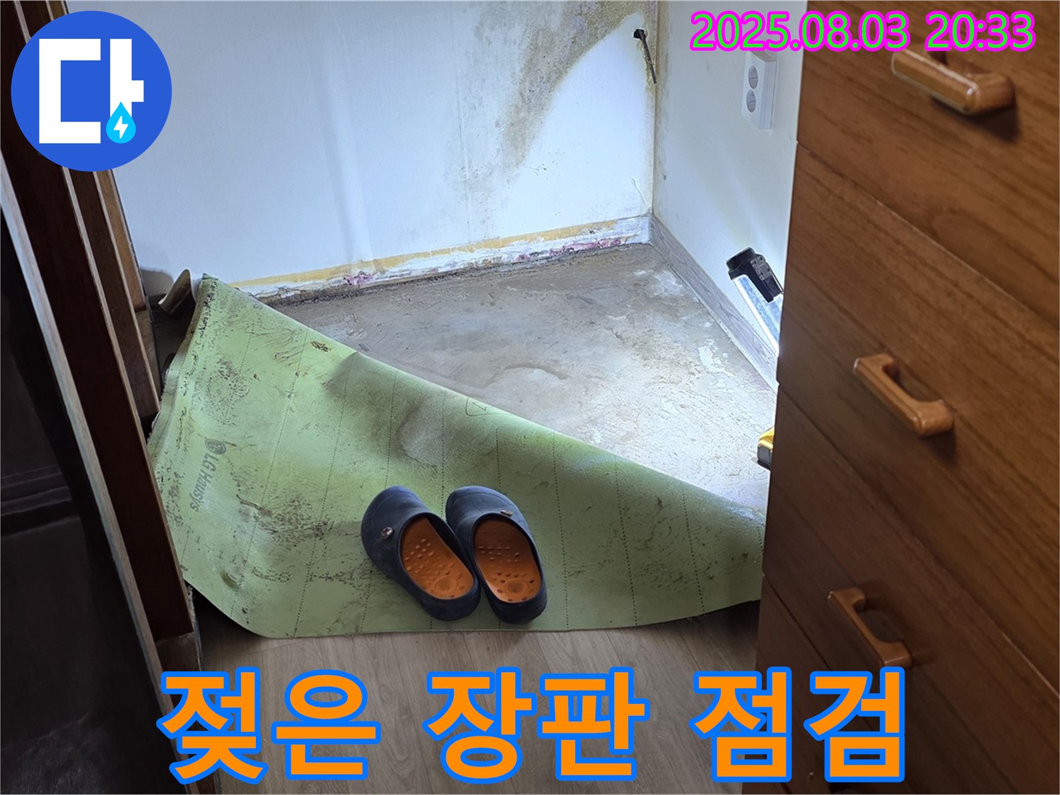 젖은 장판 - 곰팡이 냄새 점검
