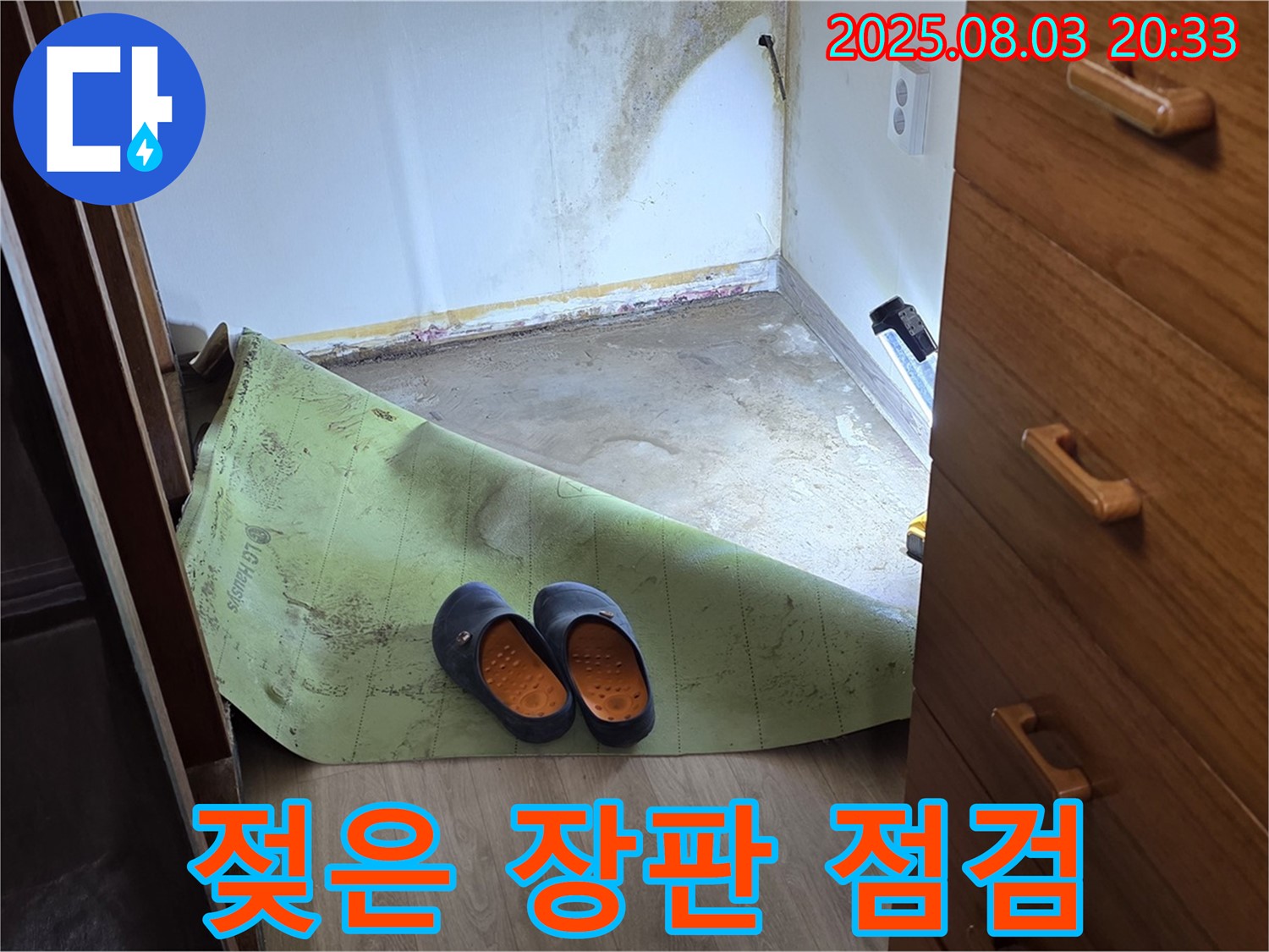젖은 장판 - 곰팡이 냄새 점검