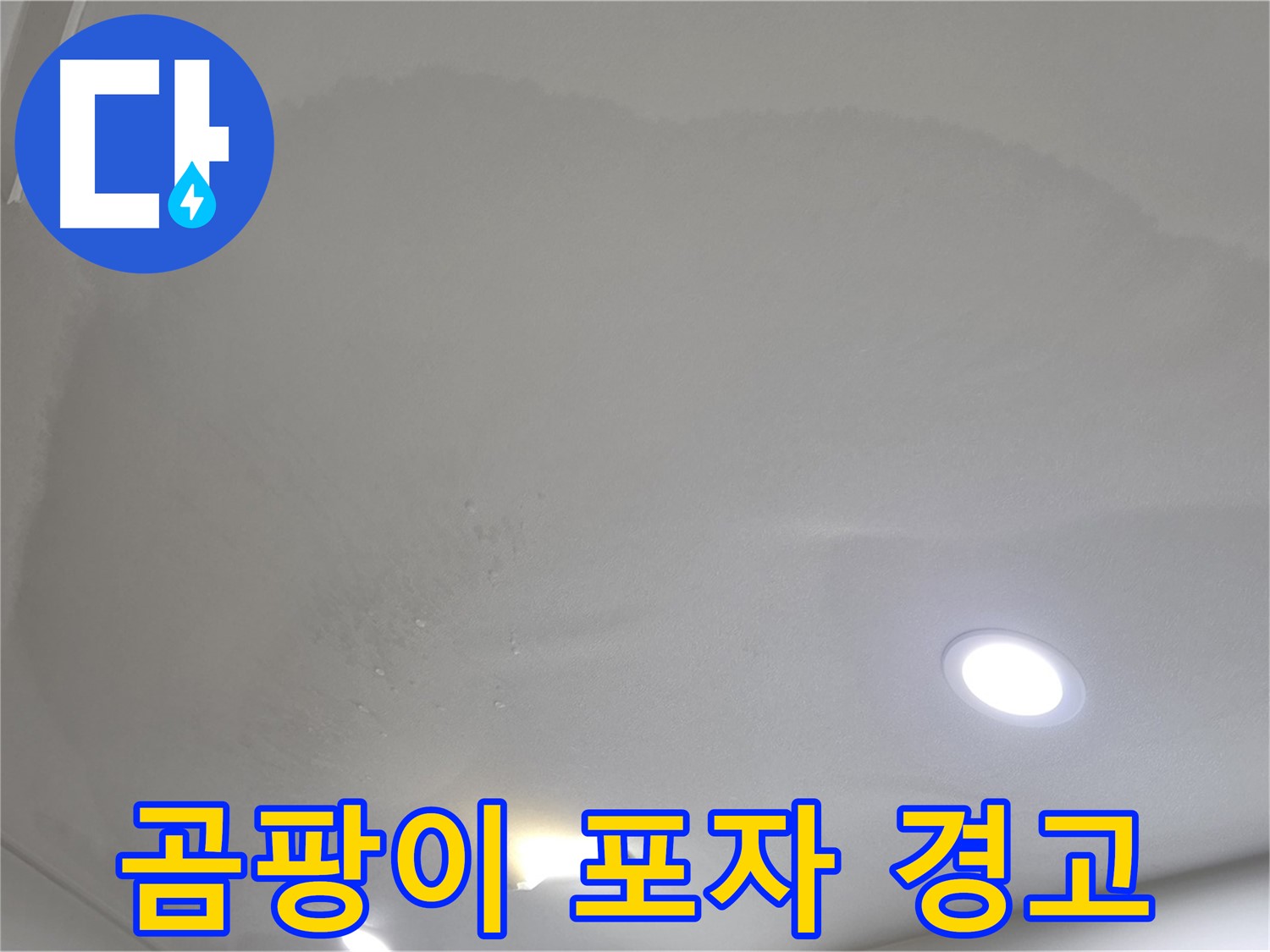 삼숭동 자이 107동 누수 - 습기 찬 천장, 곰팡이 포자 번식