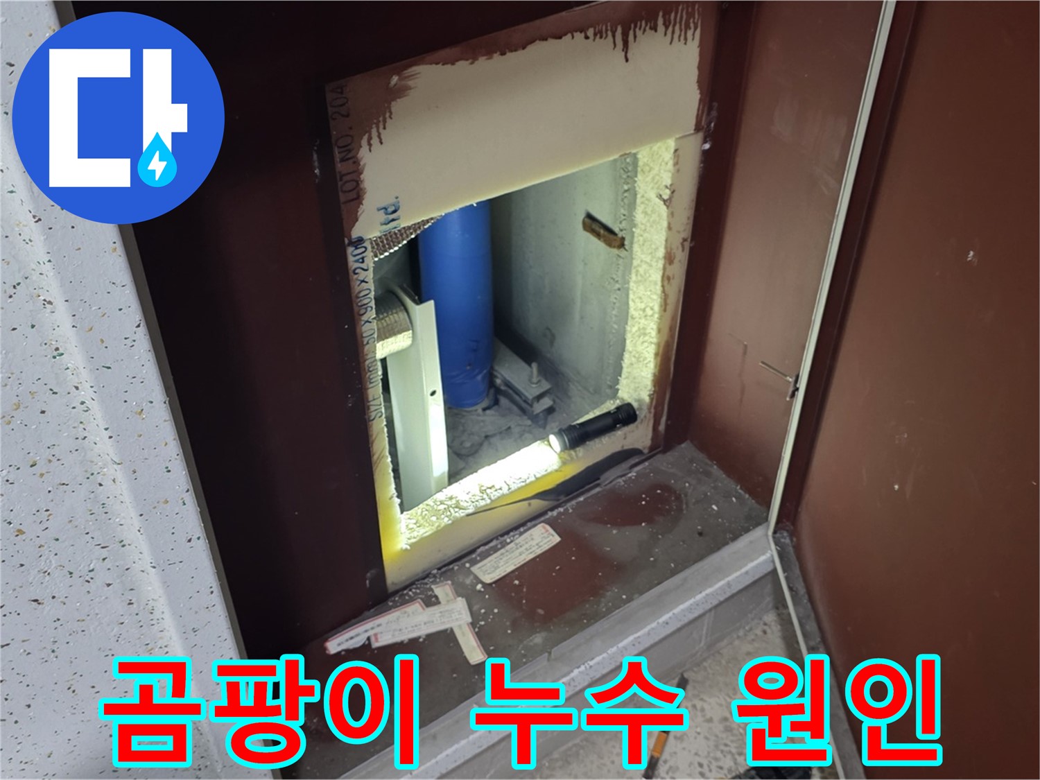 삼숭동 자이 아파트 - 점검구 속 곰팡이 - 누수 때문?!