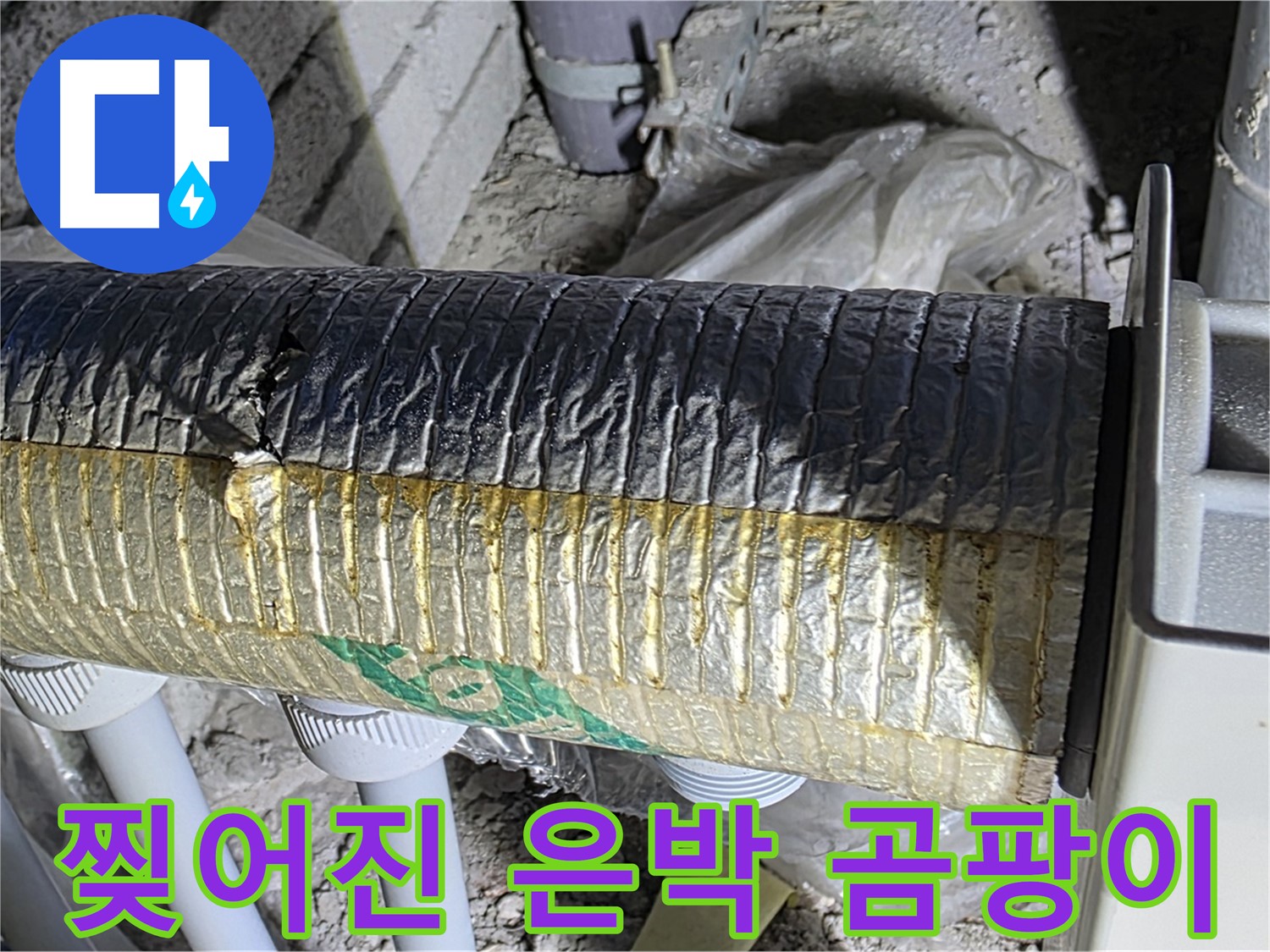 삼숭동 자이아파트 배관 - 찢어진 은박 보온재, 곰팡이 서식