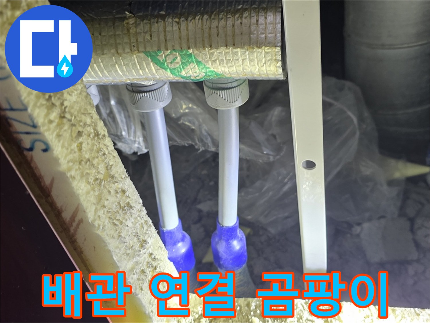 양주 삼숭동 아파트 누수 - 배관 연결 상태 및 주변 곰팡이 발생 여부 집중 점검