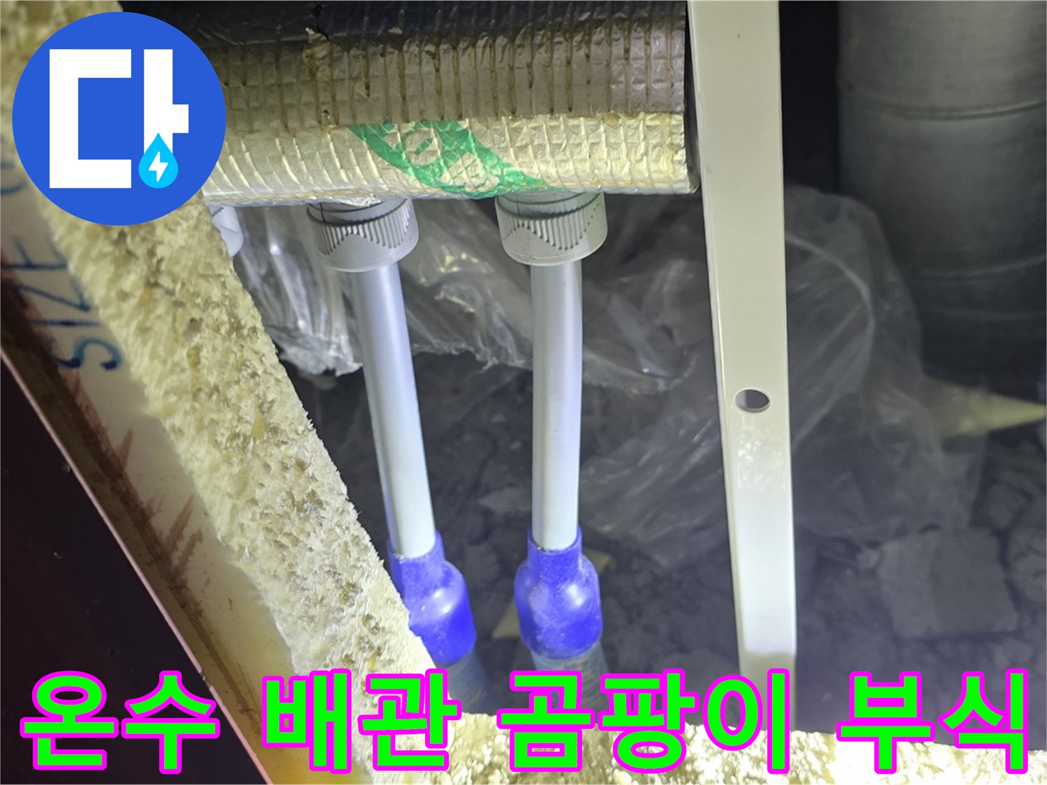 양주 삼숭동 아파트 누수 - 온수 배관 연결 부위 주변 곰팡이 발생 및 부식 상태 확인