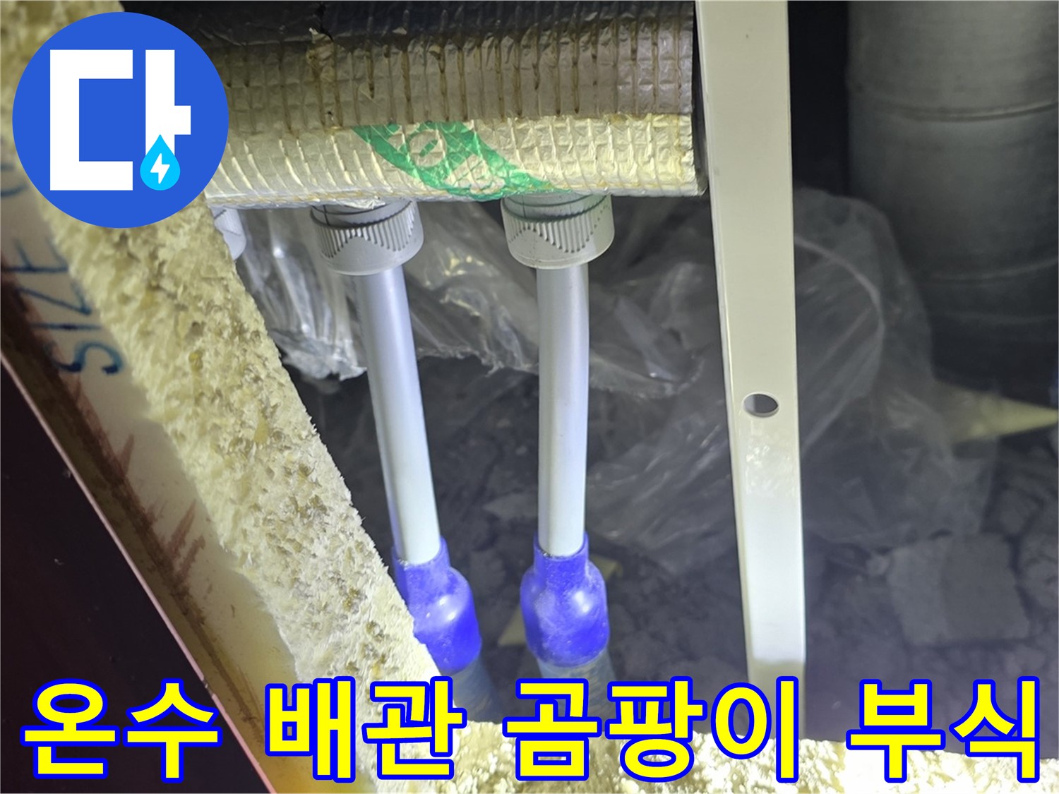 양주 삼숭동 아파트 누수 - 온수 배관 연결 부위 주변 곰팡이 발생 및 부식 상태 확인