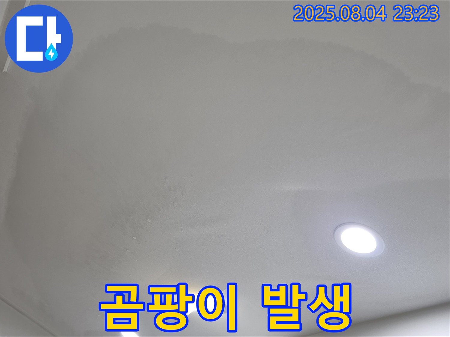 양주 삼숭동 아파트 누수 - 천장 누수로 인한 곰팡이 발생 가능성