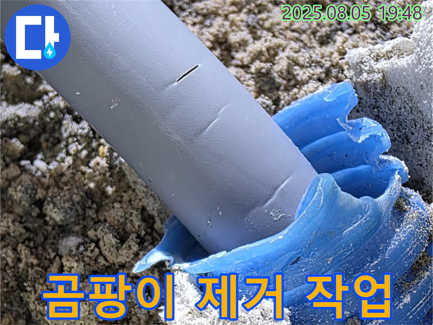 양주 삼숭동 자이아파트 누수 - 누수로 인한 곰팡이 제거 작업