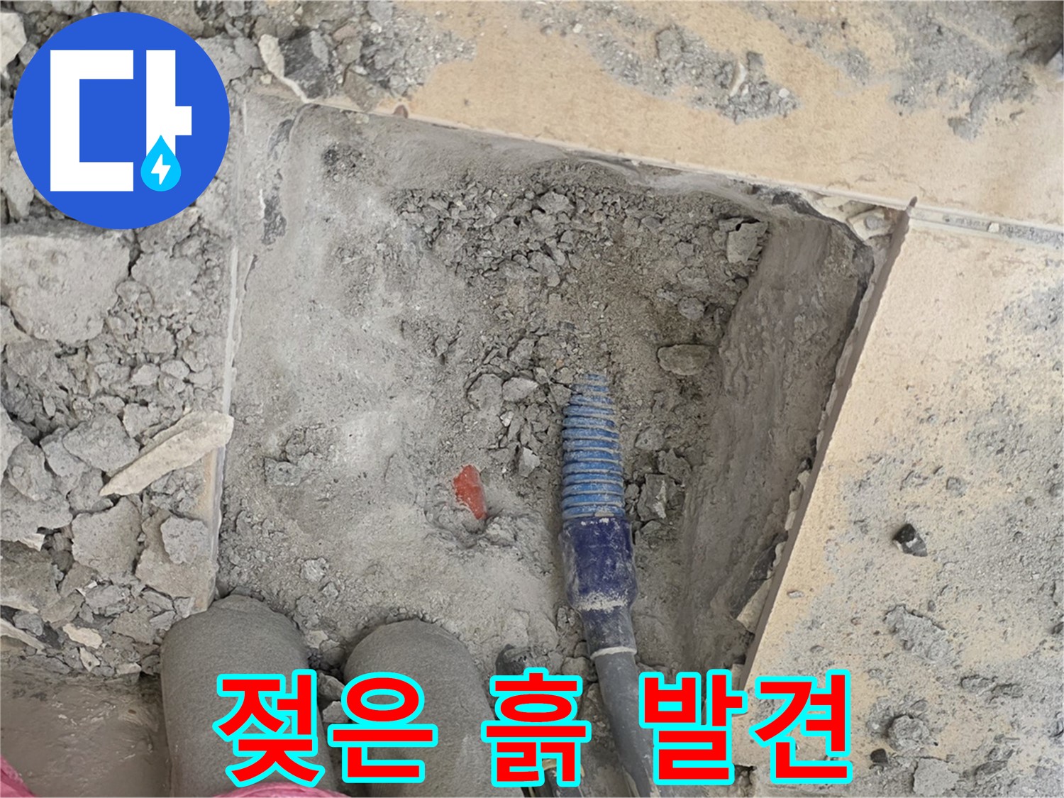 양주 삼숭동 자이아파트 누수 - 젖은 흙 발견! 누수 지점 근처