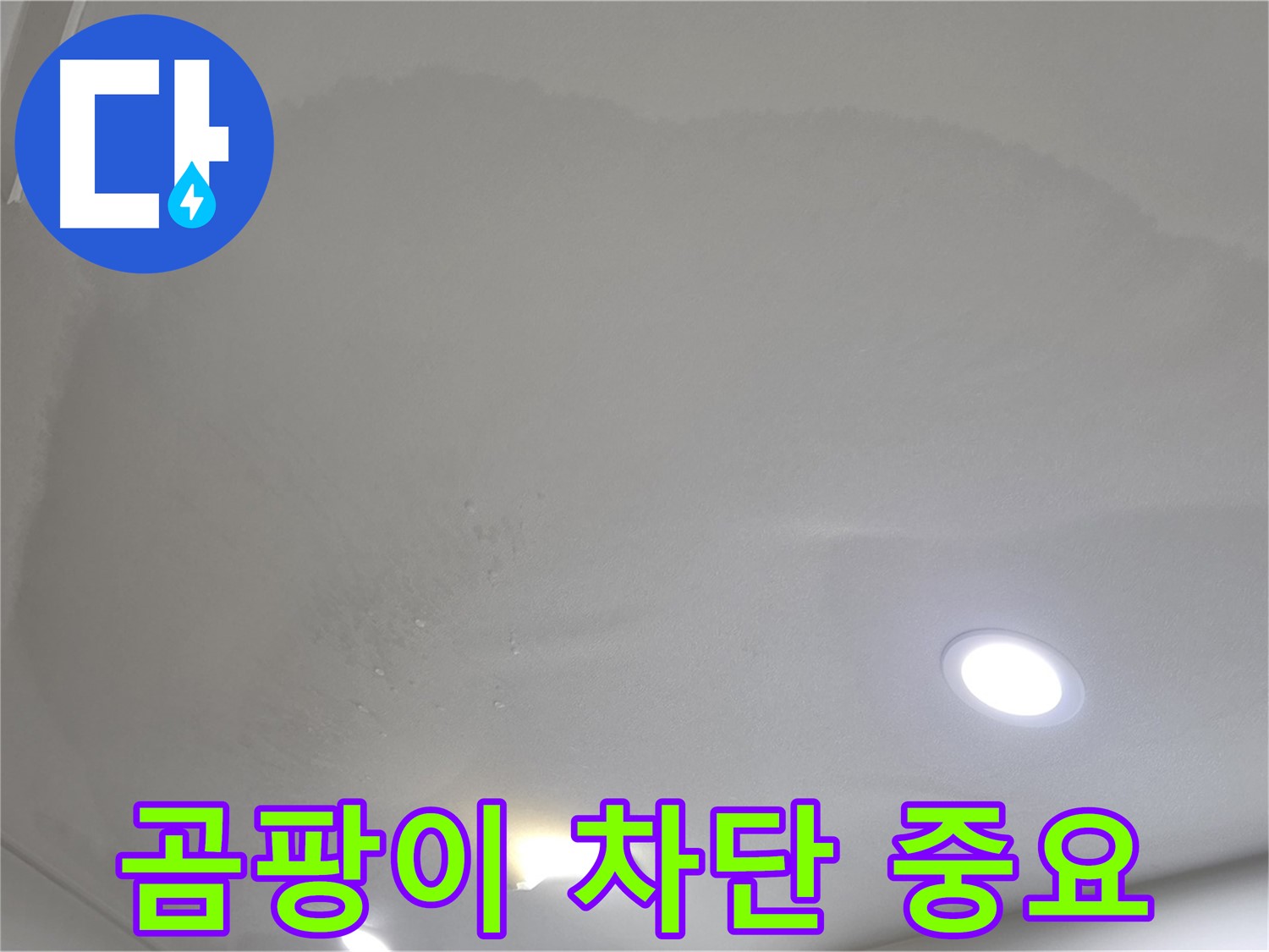 양주 아파트 누수 - 곰팡이, 지금 바로 차단