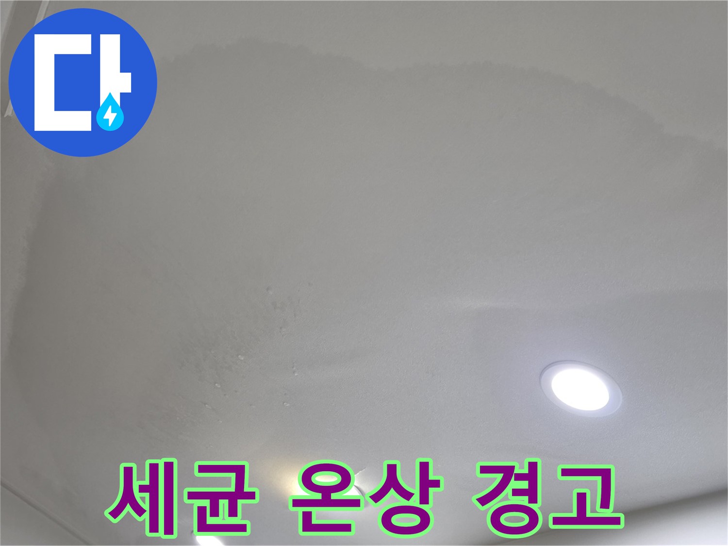 양주 아파트 누수 - 둥근 천장 얼룩, 세균 온상