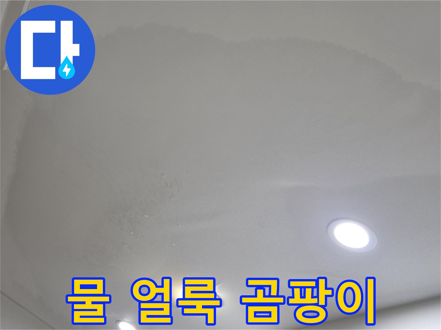 양주 아파트 누수 - 물 얼룩과 곰팡이는 건강 적신호
