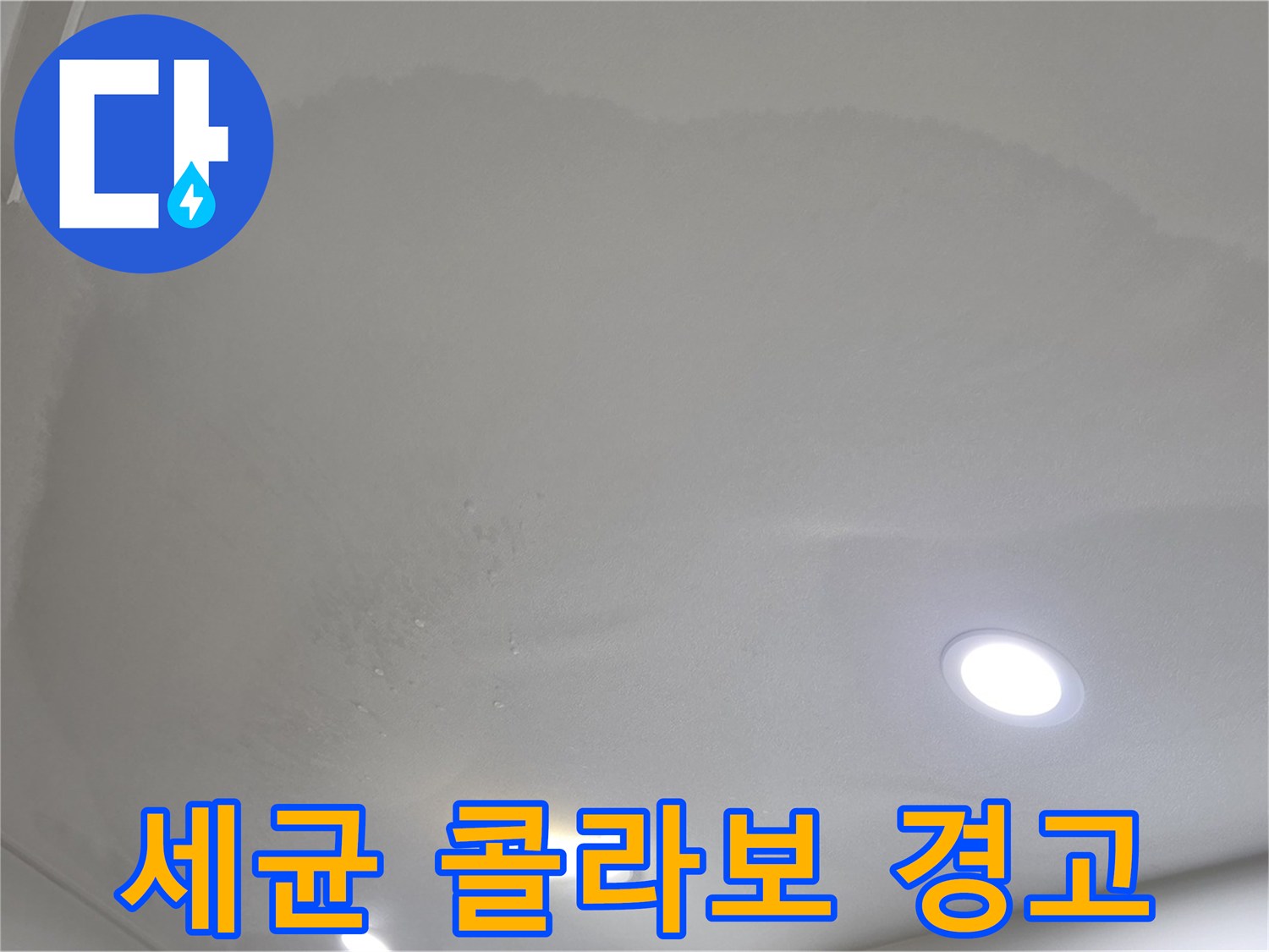 양주 아파트 누수 - 습기 머금은 천장, 곰팡이와 세균
