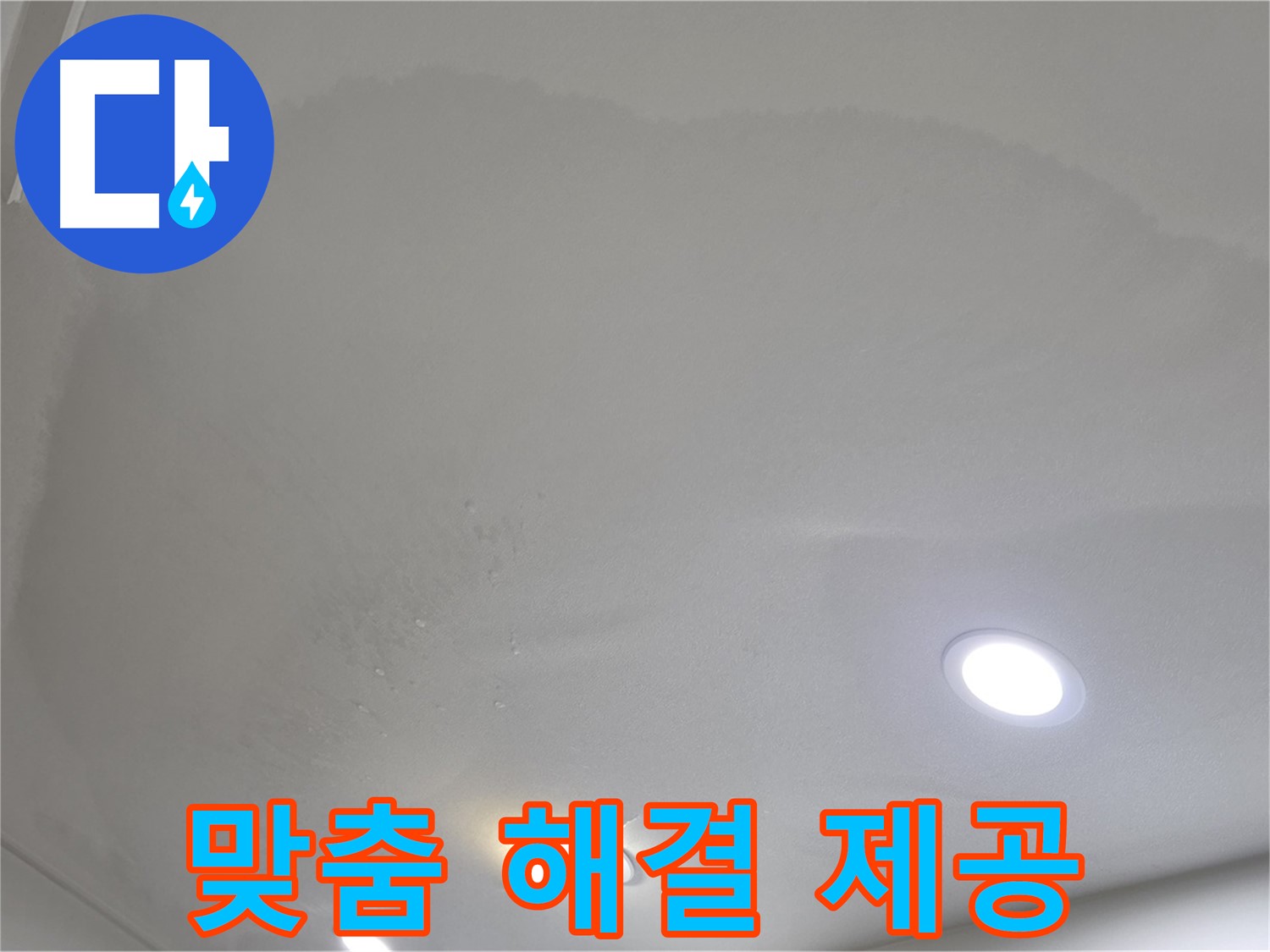 양주 천장 누수 - 넓은 얼룩, 맞춤 해결책