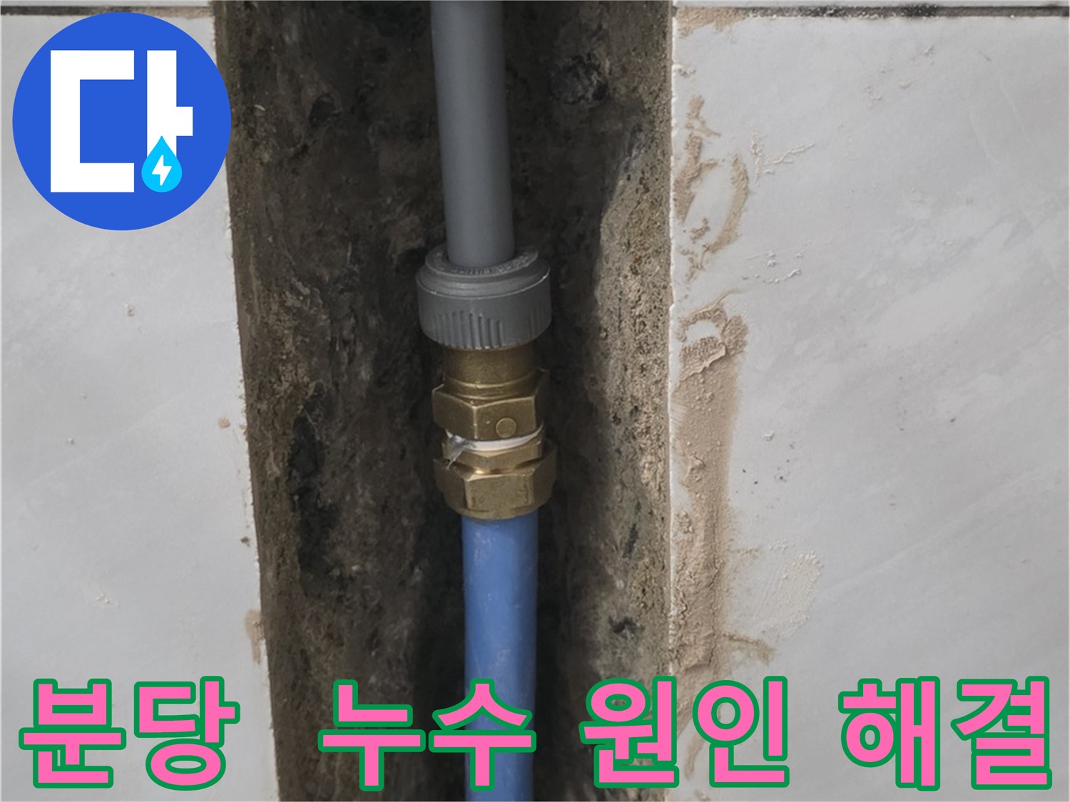 분당 쇳골 - 정확한 누수 진단으로 문제 해결