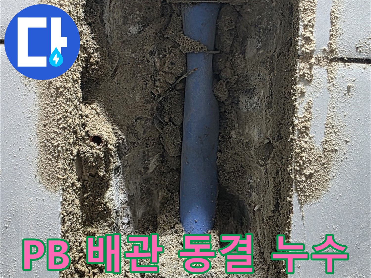 성남시 분당구 누수 - PB 배관 동결로 누수 발생