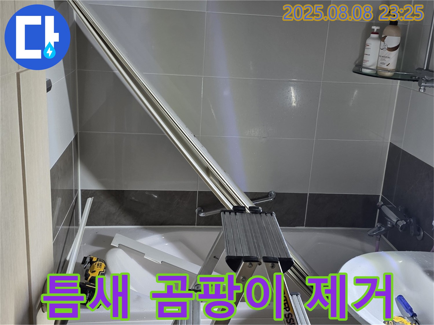 양주 옥정 아파트 샤워부스 유리와 타일 틈새 곰팡이 제거 작업