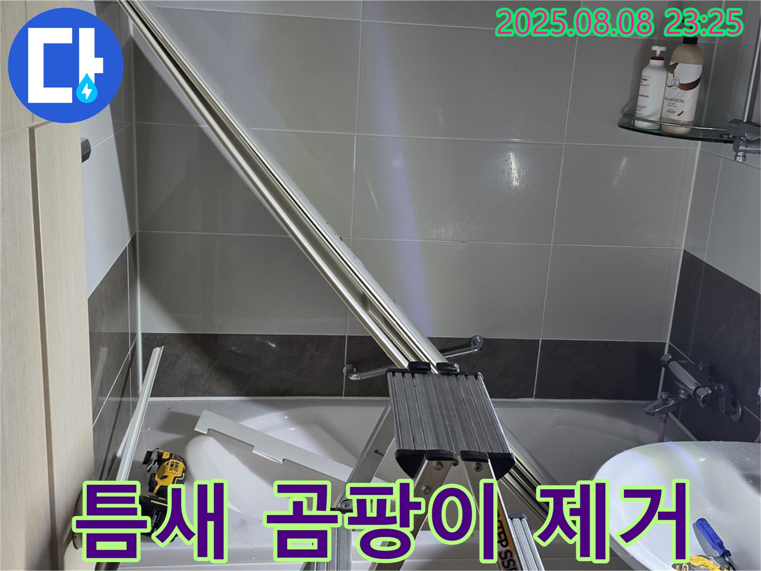 양주 옥정 아파트 샤워부스 유리와 타일 틈새 곰팡이 제거 작업