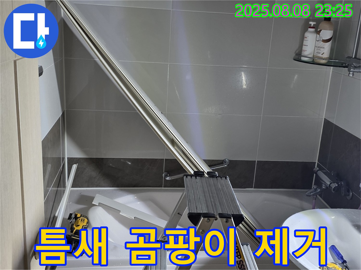 양주 옥정 아파트 샤워부스 유리와 타일 틈새 곰팡이 제거 작업