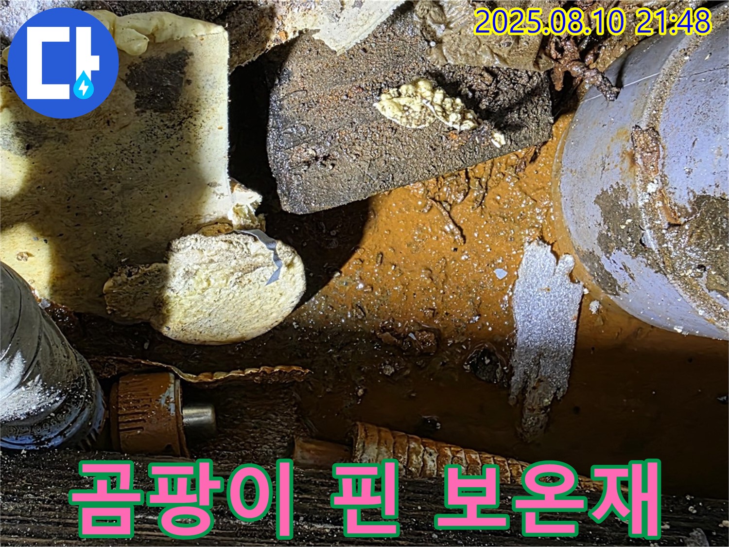 곰팡이 핀 배관 보온재 - 습기와 누수의 증거