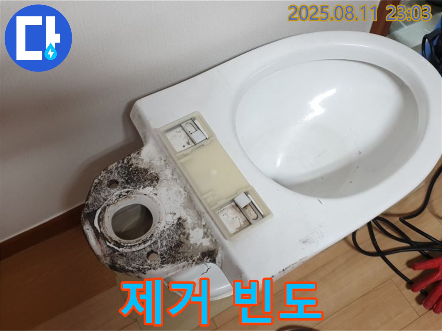 변기 곰팡이 - 제거 빈도