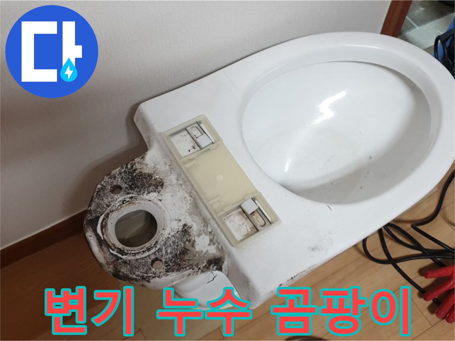변기 누수 - 곰팡이 걱정 없이 깨끗하게 해결