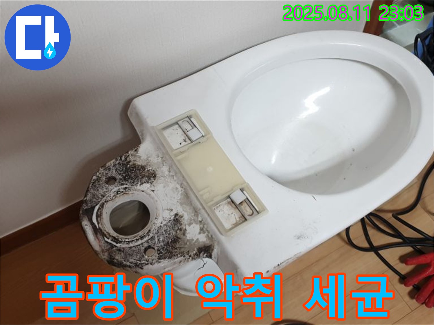 변기 누수 - 곰팡이, 악취, 세균! 한번에 해결