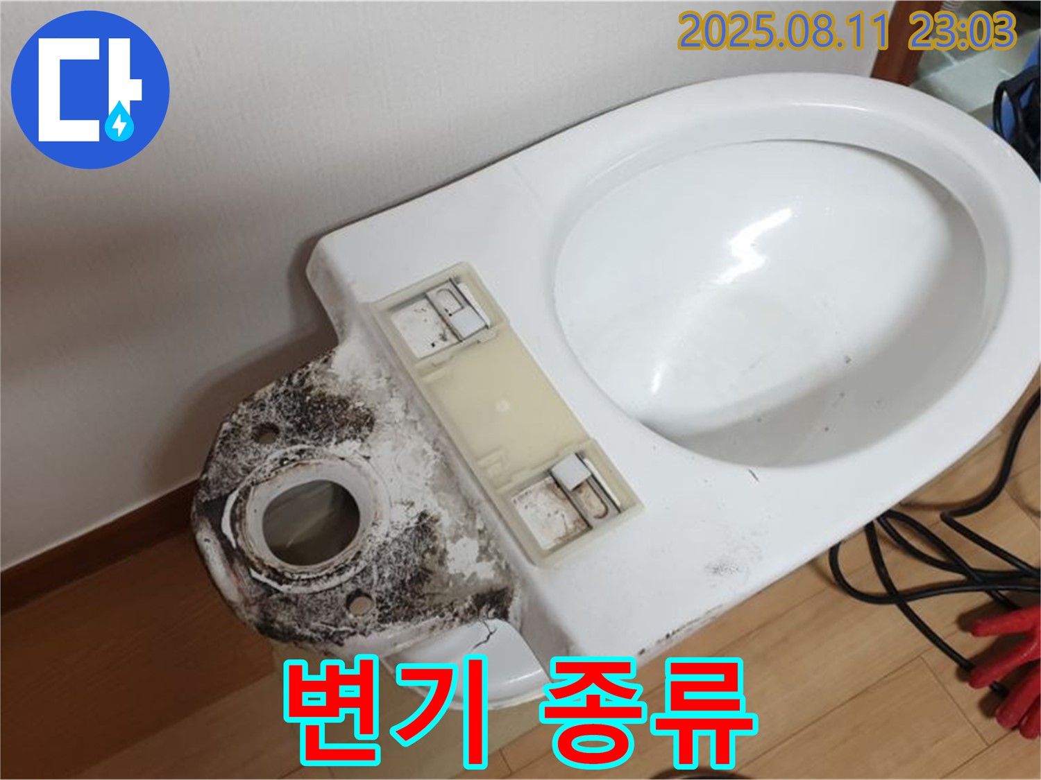 변기 누수 - 곰팡이 제거, 변기 종류