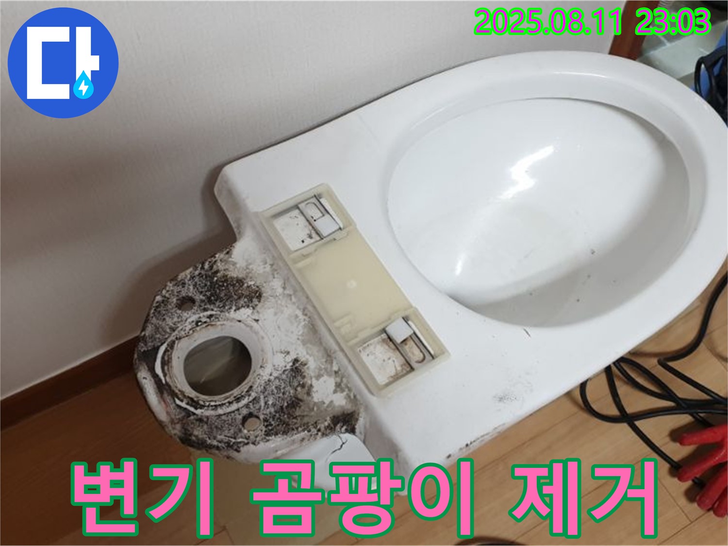 변기 누수 - 곰팡이 제거, 얼마나 깨끗해질까?