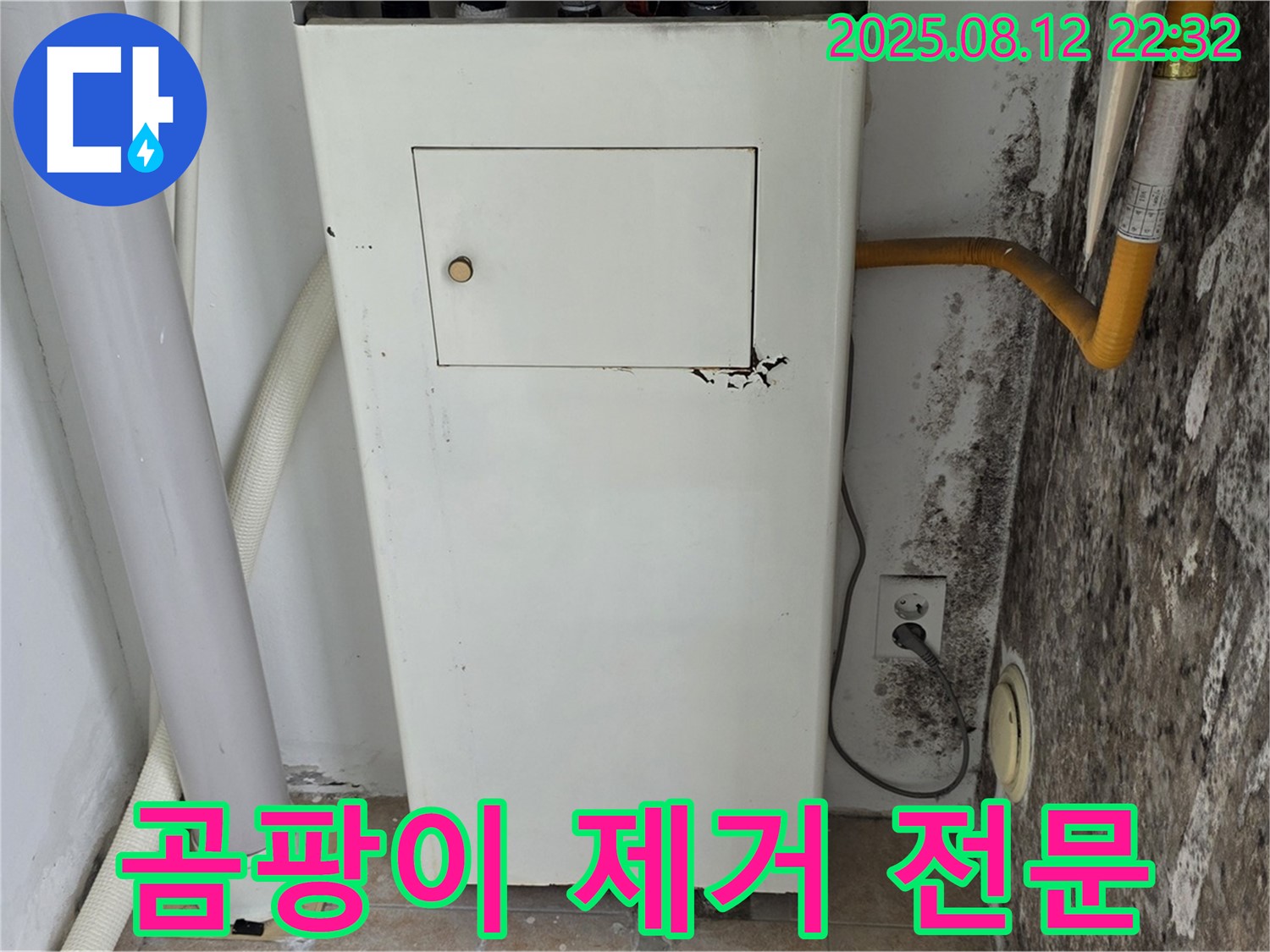 곰팡이 심한 벽 - 누수탐지 및 곰팡이 제거 전문 업체에 맡기세요.