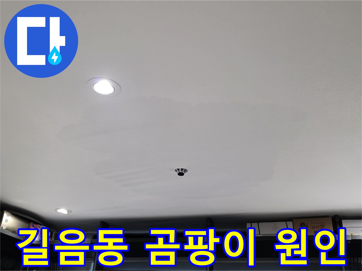 곰팡이 원인 분석 - 습기와 누수의 상관관계