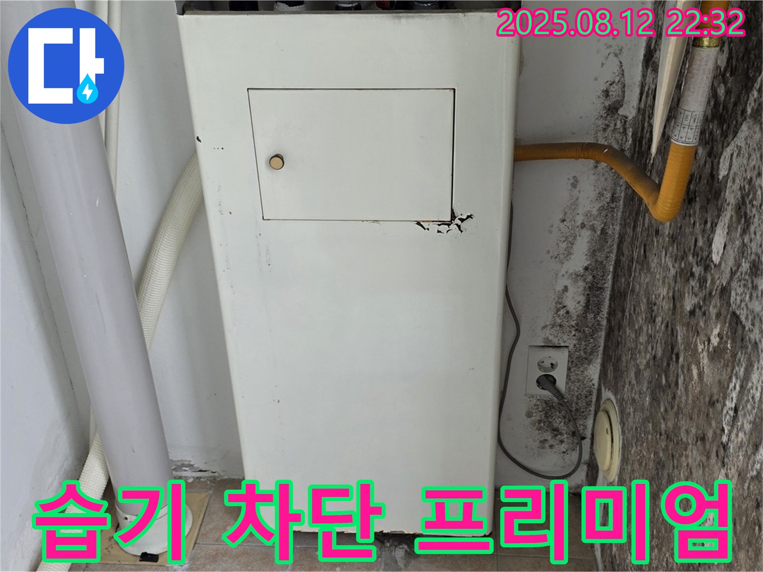 곰팡이 핀 벽 - 습기 완벽 차단 및 쾌적한 프리미엄 공간 조성!