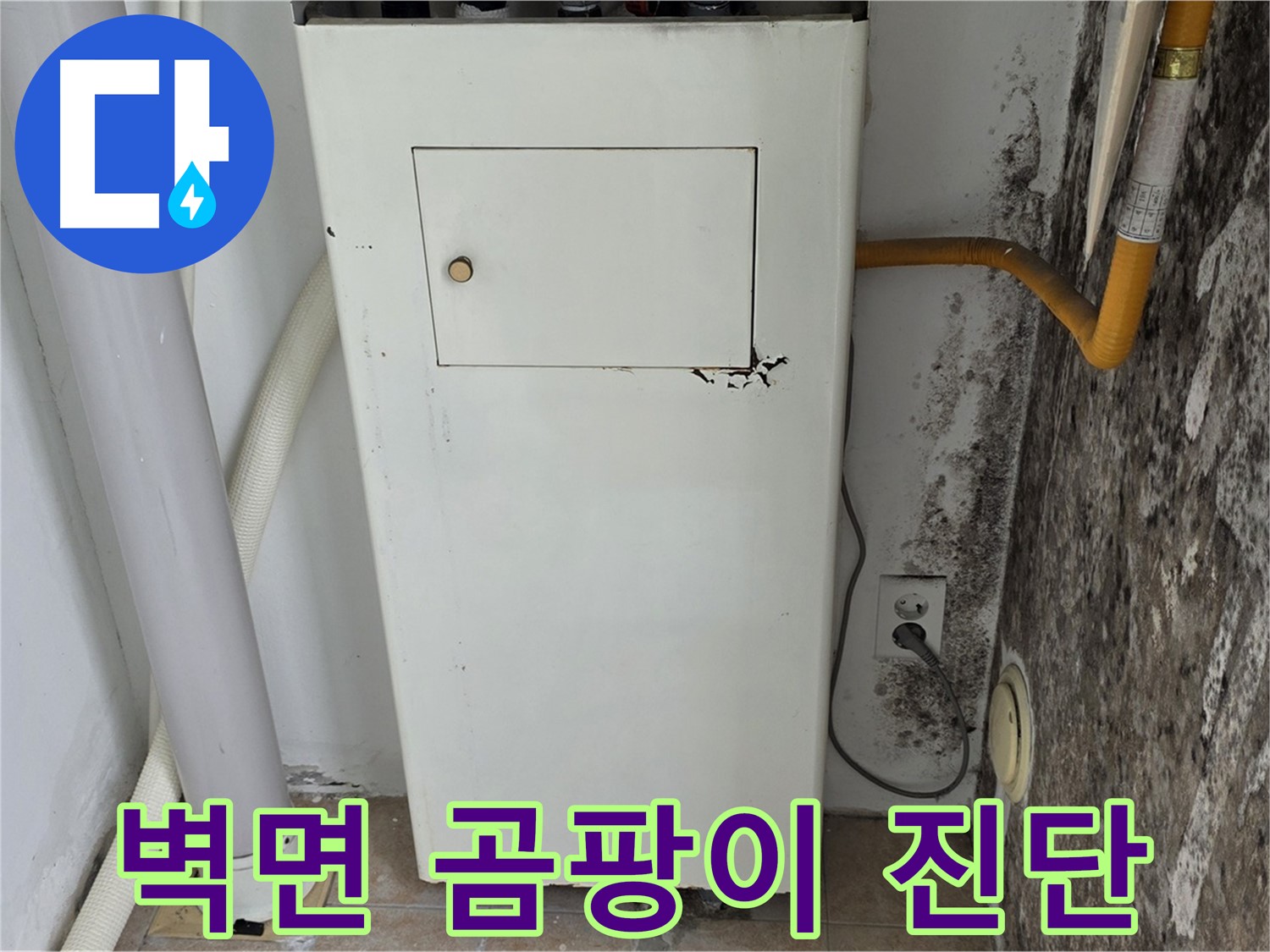 길음동 숭인로 - 곰팡이 핀 벽면 긴급 진단 - 누수 전문가의 상세 점검