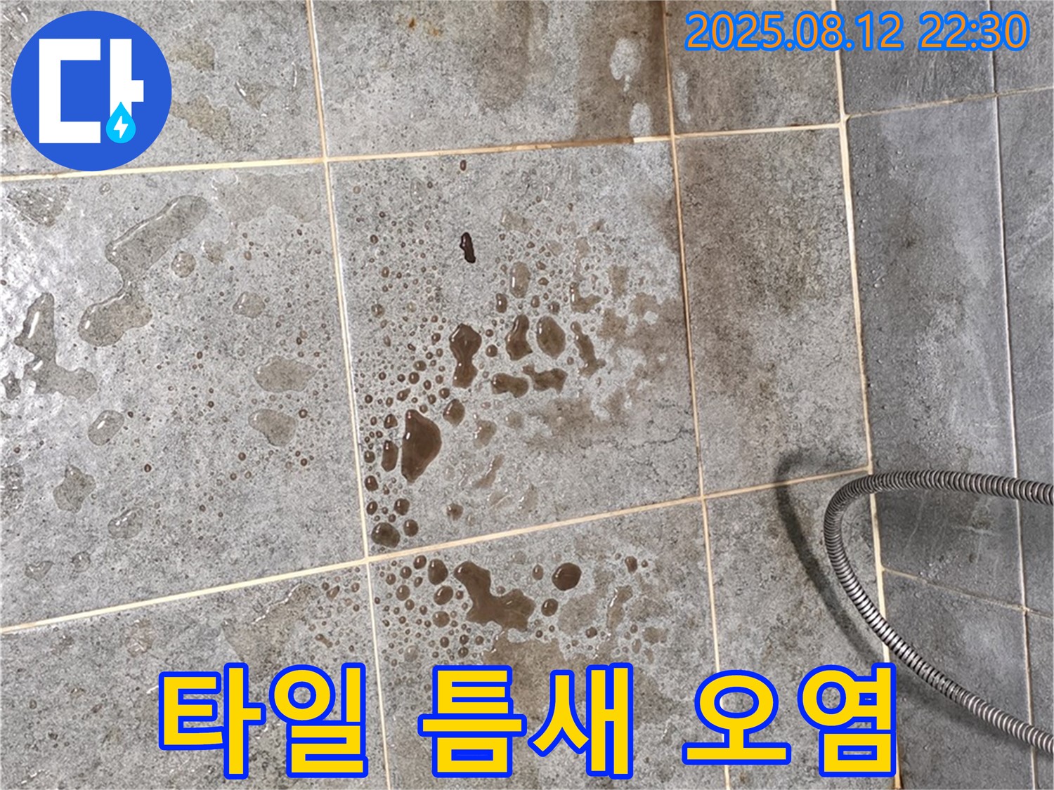 샤워부스 타일 틈새 - 오염, 습기, 누수 가능성 점검