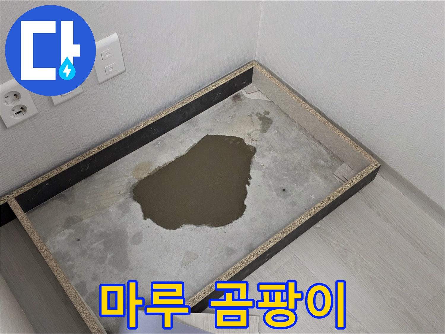 성북구 길음1동 누수 - 마루 곰팡이, 누수 원인 철저 분석