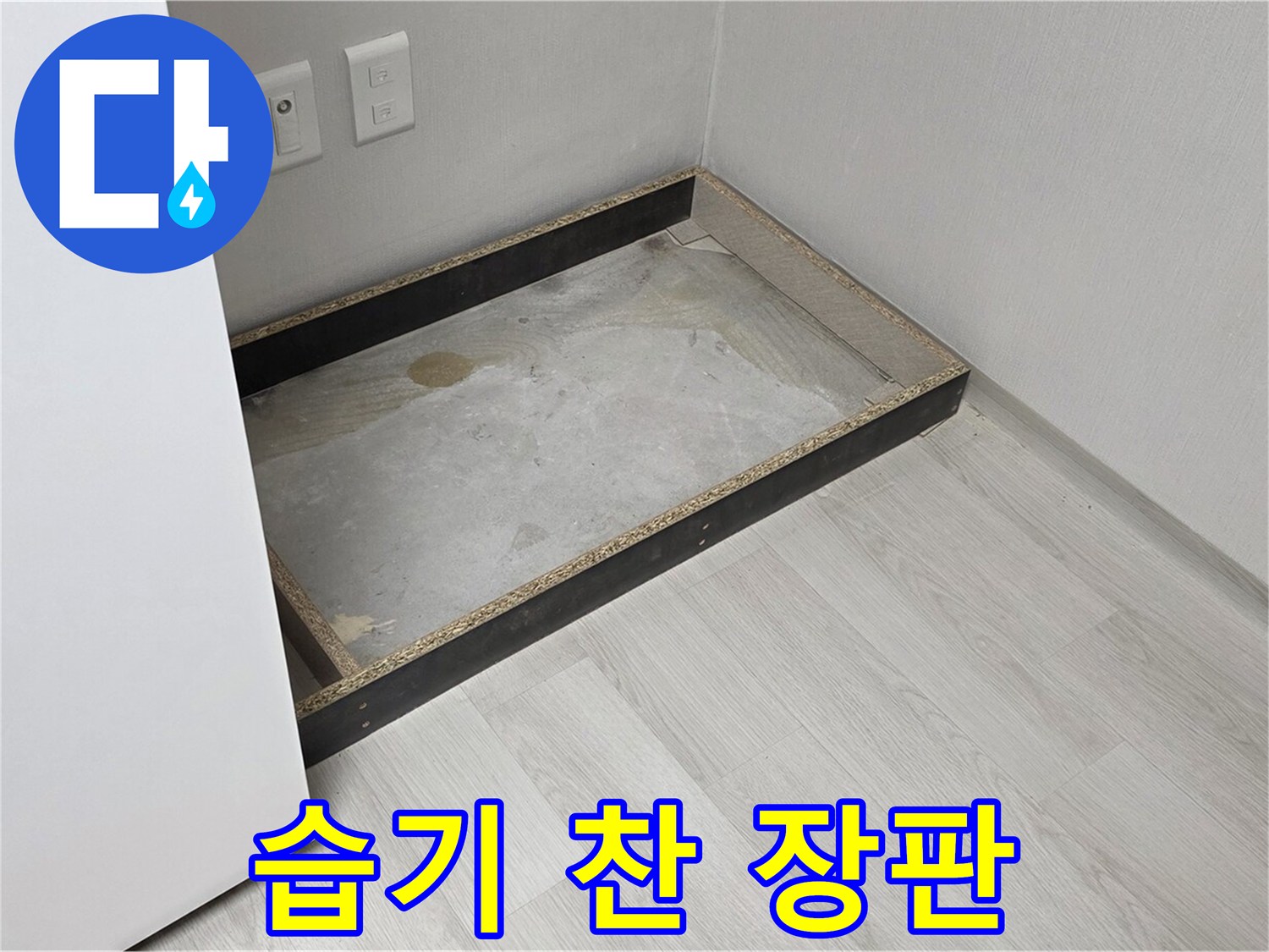습기 찬 장판 - 곰팡이 번식