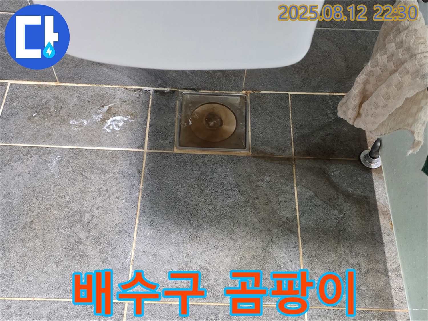 싱크대 배수구 주변 곰팡이 - 누수와 악취 동시 발생 - 배수구 청소가 필요합니다.