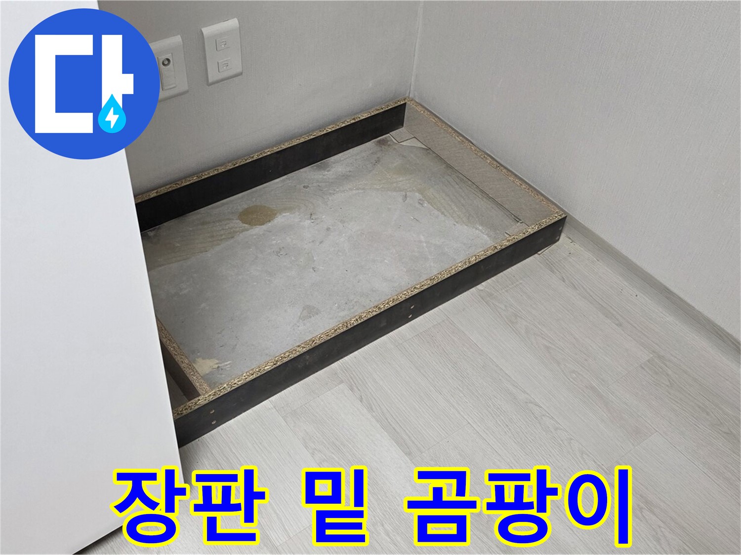 장판 밑 곰팡이 - 건강을 위협하는 적