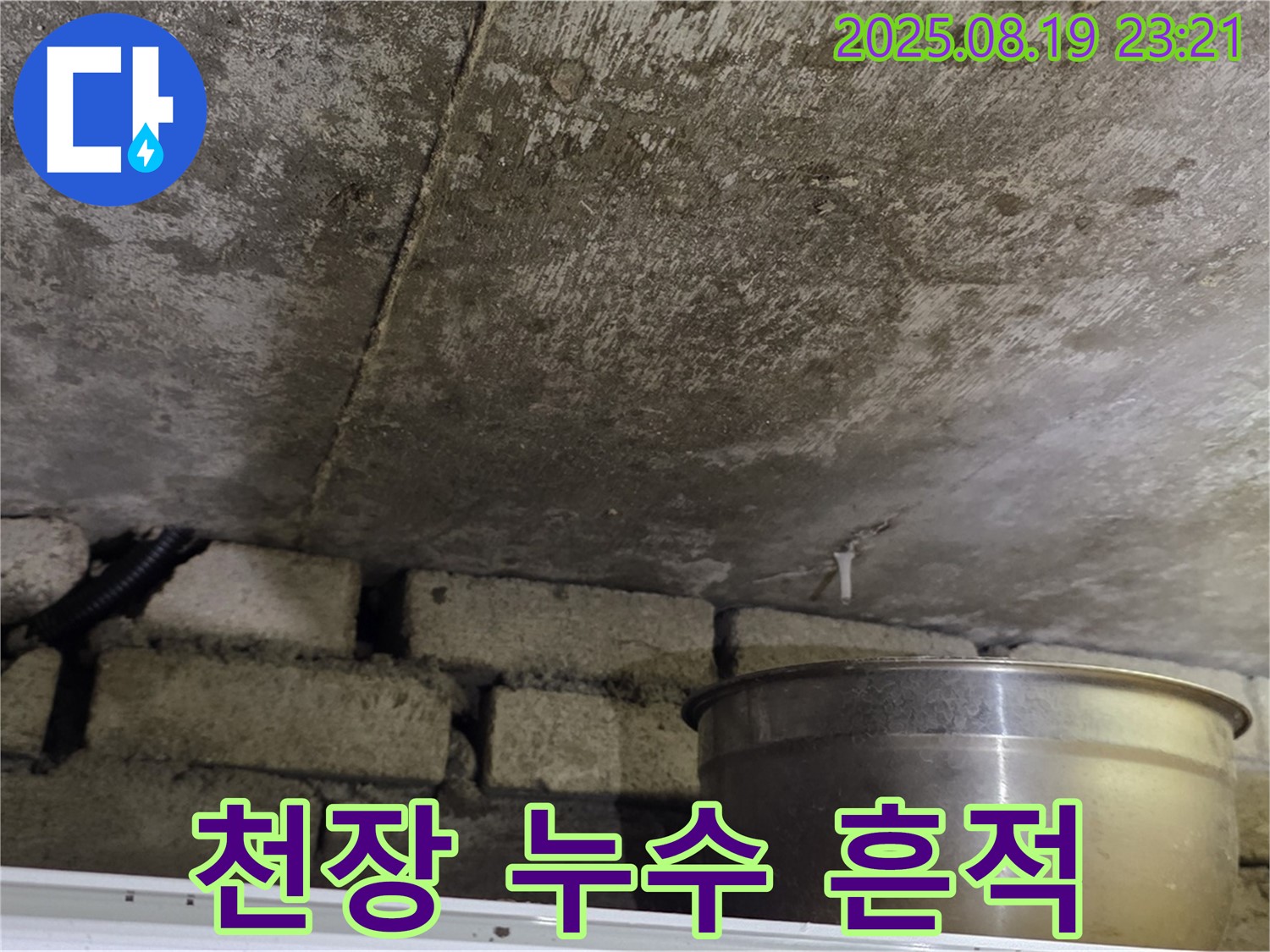 천장 누수 흔적 - 천장에 넓게 퍼진 누수 자국과 곰팡이
