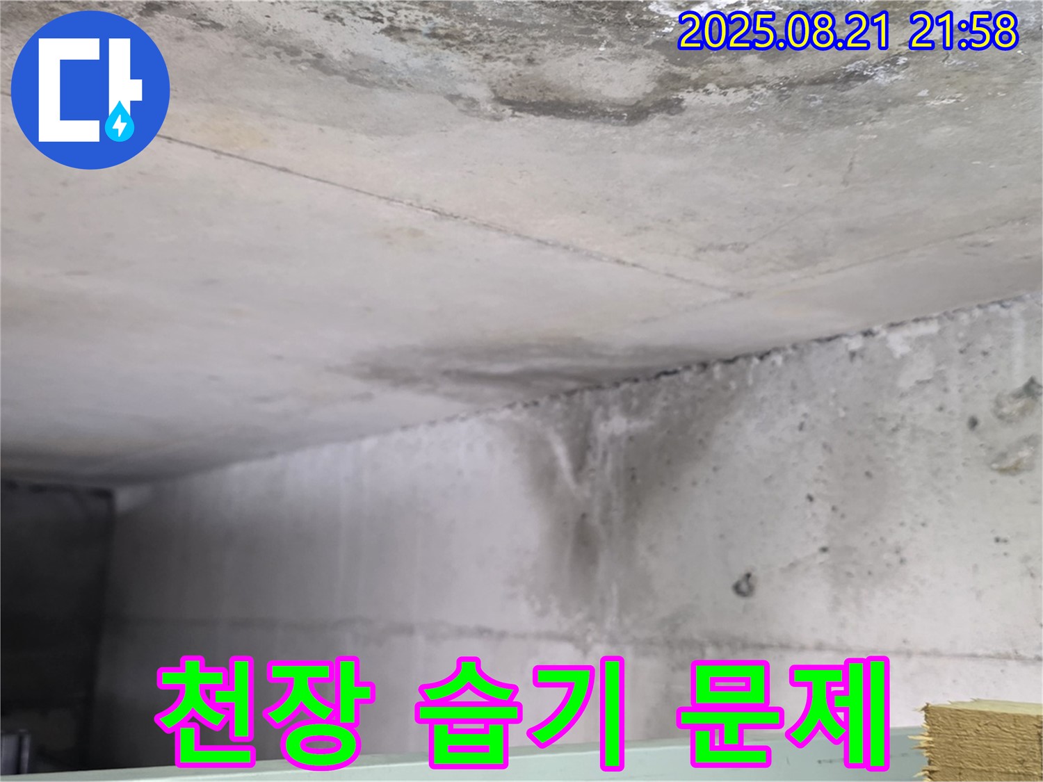 일산서구 주엽동 누수 현장 - 콘크리트 천장에 습기가 차고 곰팡이가 발생한 사진입니다.