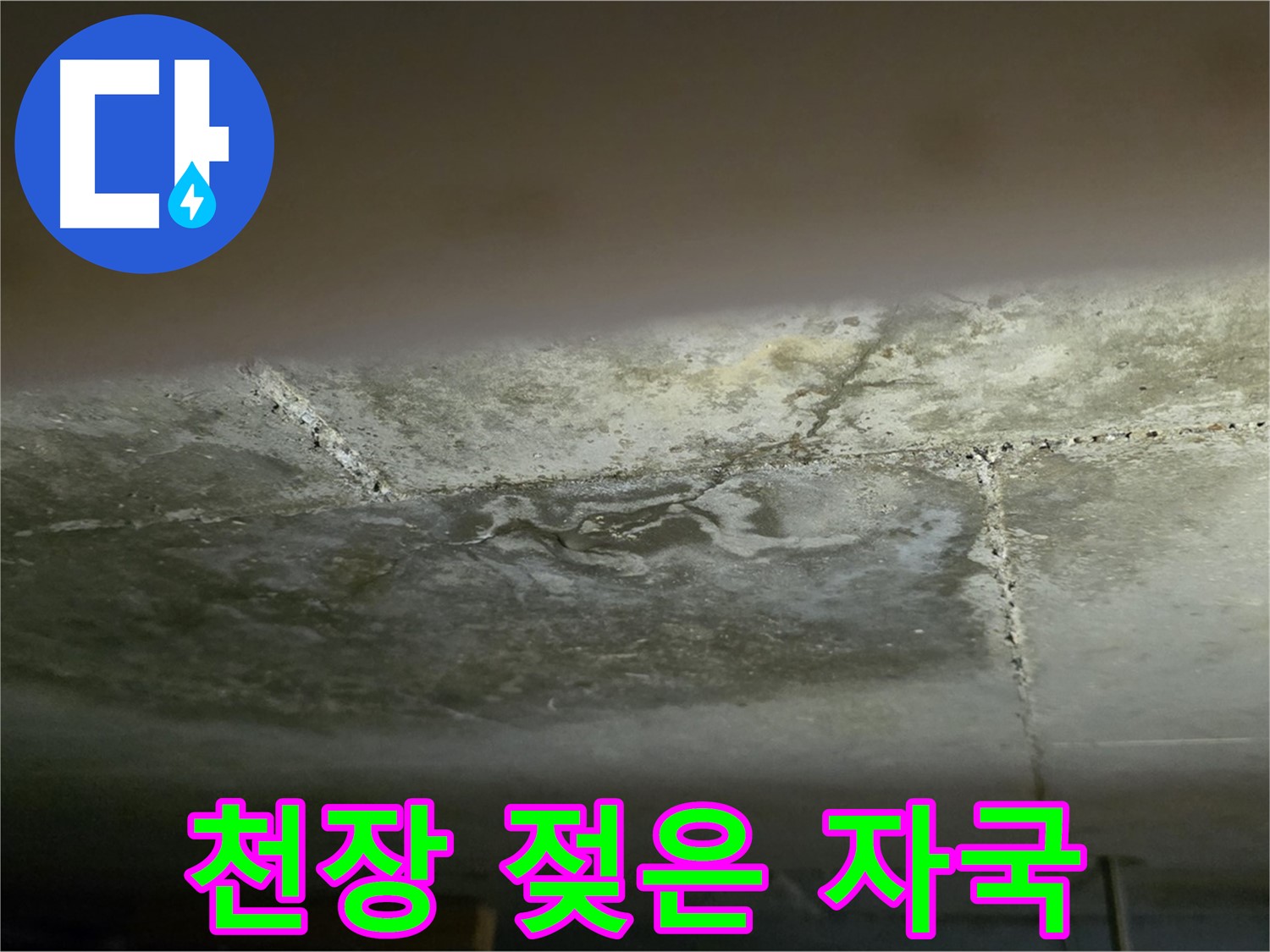 일산서구 탄현동 아파트 천장 젖은 자국 - 누수 초기 증상 및 긴급 진단