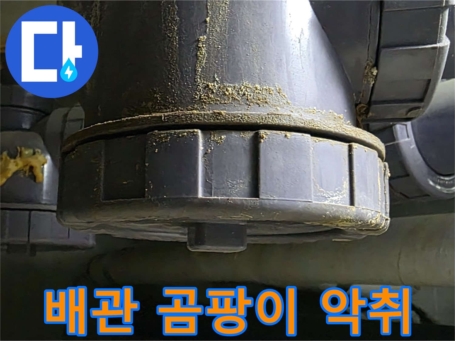 PVC 배관 연결부 습기 - 곰팡이 발생 및 악취
