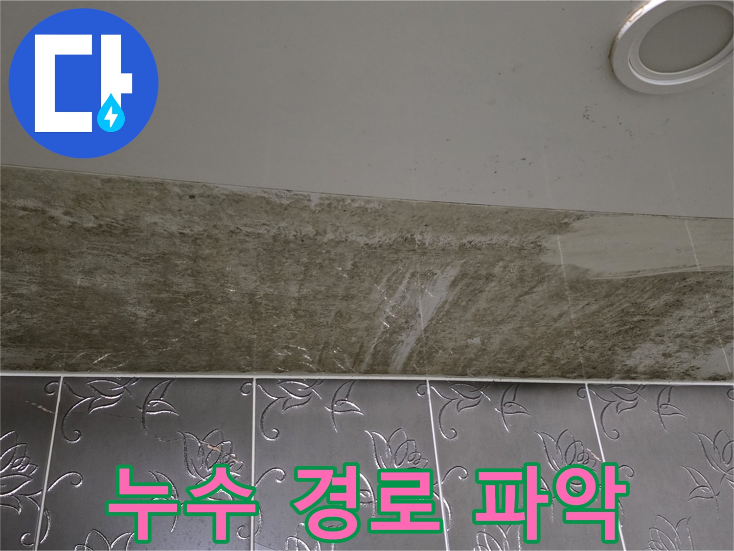 곰팡이 뒤덮인 화장실 천장 - 누수 경로 꼼꼼히 파악
