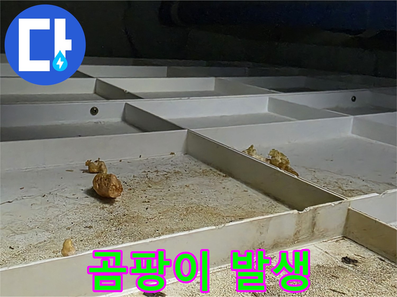 곰팡이 발생 - 누수로 인한 곰팡이