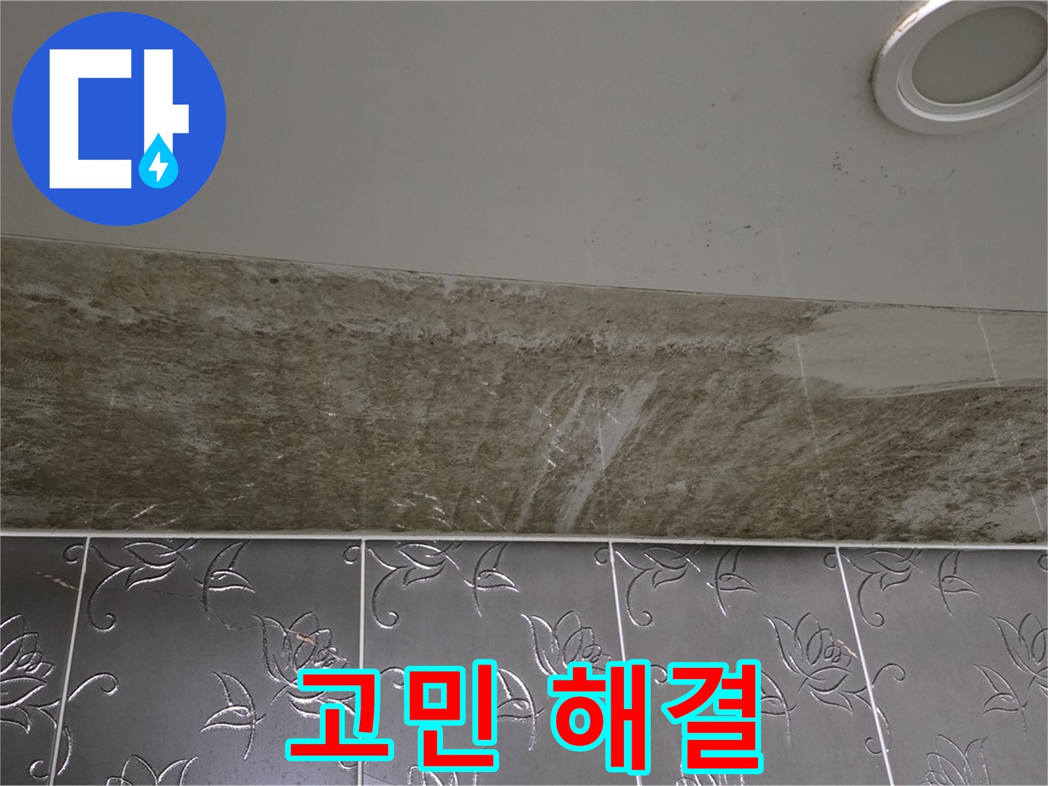 곰팡이 핀 화장실 - 누수 고민 해결, 쾌적한 욕실로