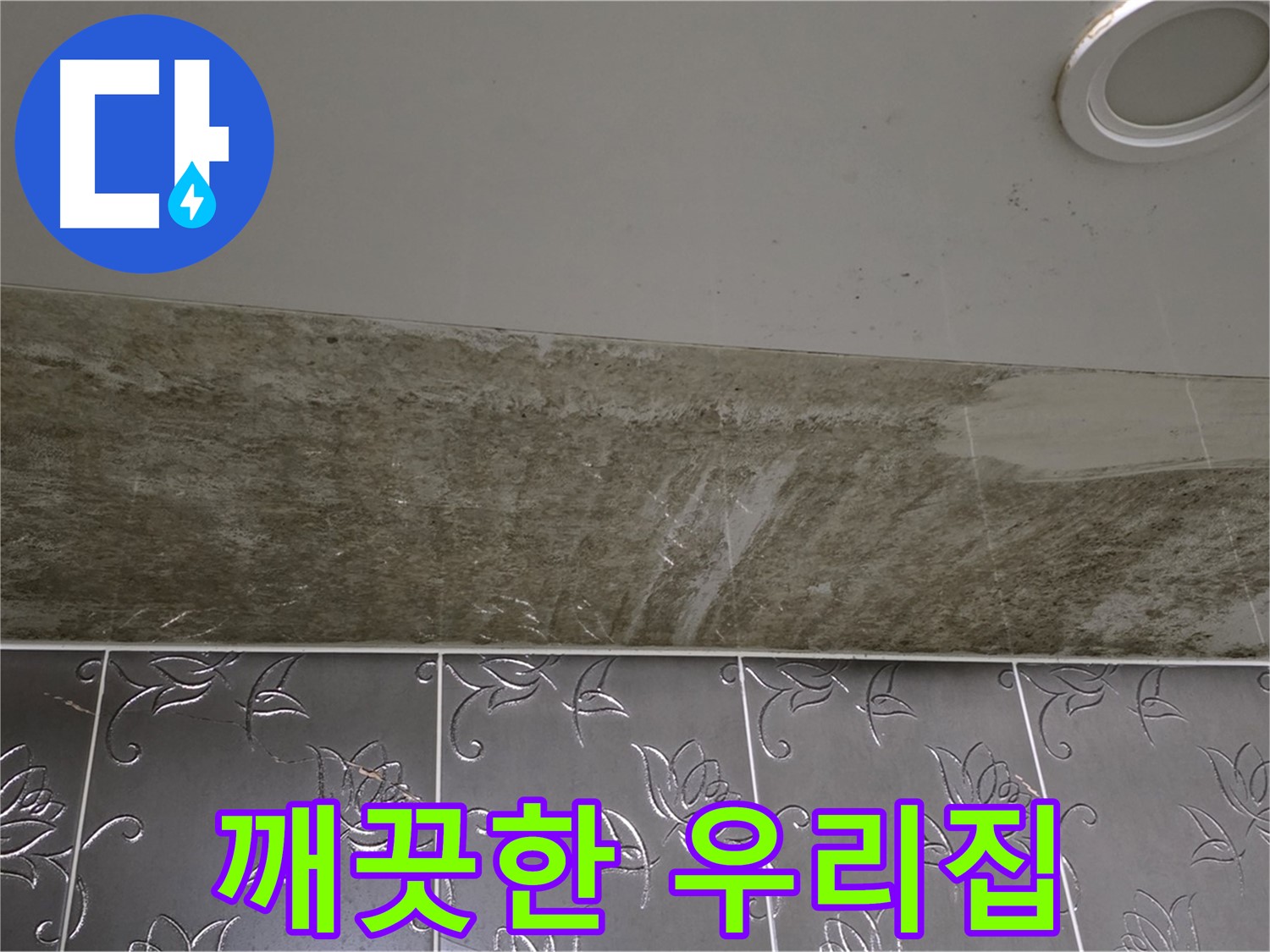 곰팡이 핀 화장실 천장 - 곰팡이 ByeBye, 깨끗한 우리집