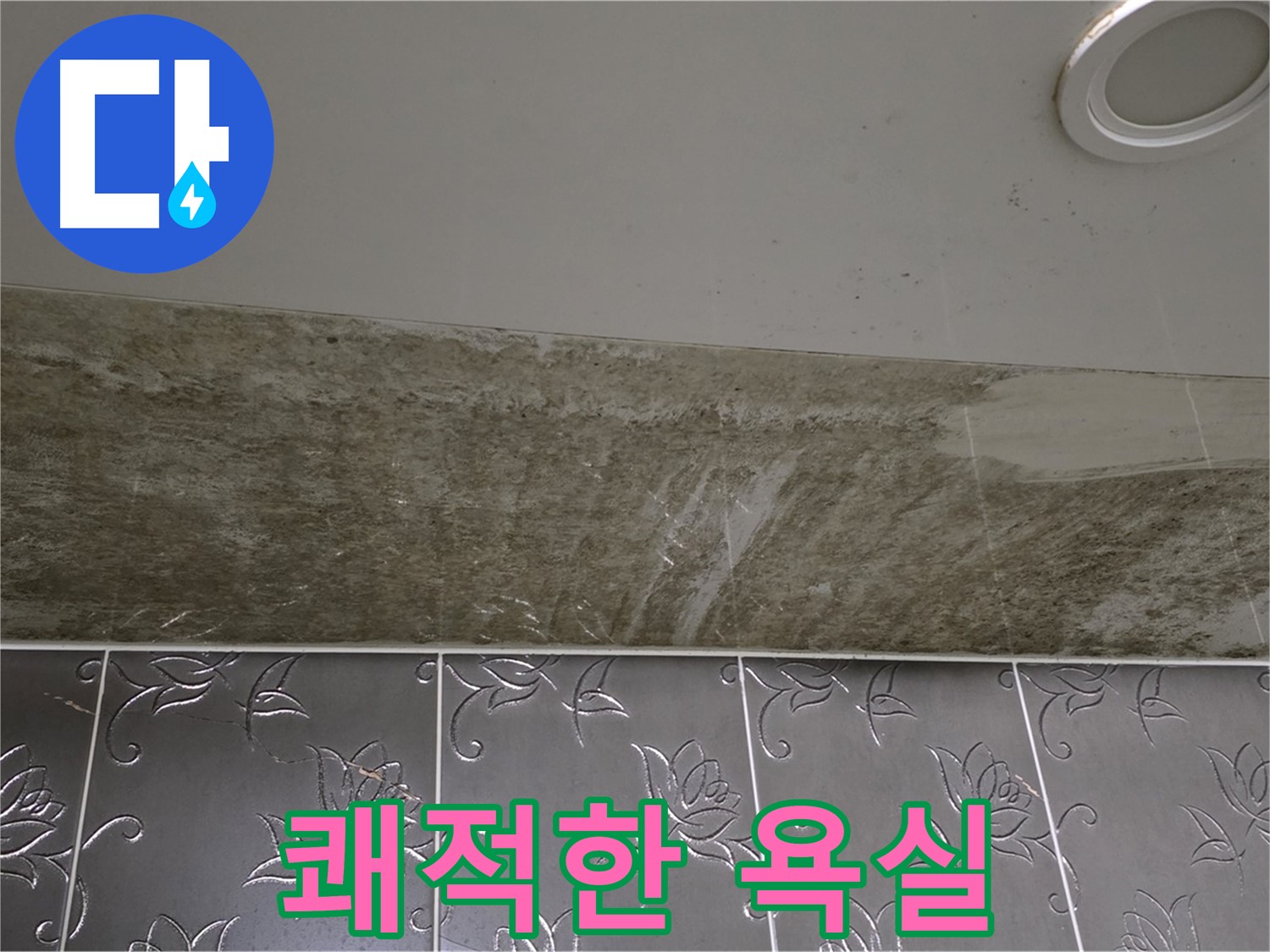 곰팡이 핀 화장실 천장 - 곰팡이 걱정 없이 쾌적한 욕실
